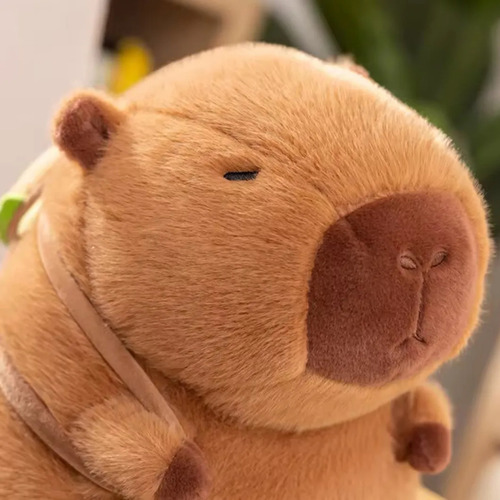 Peluche Capybara Carpincho 80 Cm Kawaii Súper Grande Capy Gigante