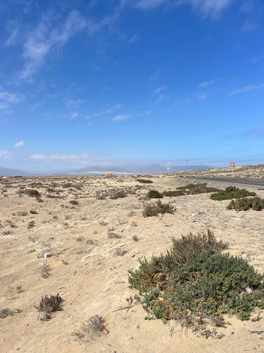 Parcela Punta De Choros Iv Región Orilla De Camino