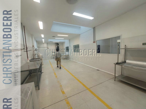 Munro - Pelliza - Planta Industrial Ideal Elabroacion Comida