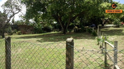 Imagem 7 de 17 de Sítio Em Abrantes - Camaçari - Ch00002 - 34599570
