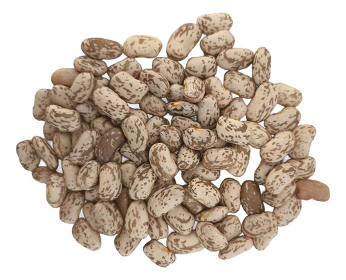 100 Semillas De Frijol Criollo Coconita Para Siembra