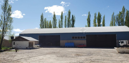 Imagen 9 de 30 de Alquilo Predio 6500 M2 Galpón 1900 M2 300 M2 Oficin Neuquen