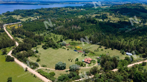 Imagen 2 de 30 de Hermosa Chacra En Laguna Del Sauce - Punta Ballena Laguna Del Sauce