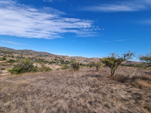 Lote 5000 M2 En Ranquilhue, Pumanque Limite Con Marchigue
