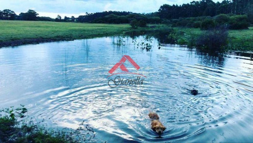 Venta De Chacra En Jose Ignacio, Medellin.- Ref: 1682
