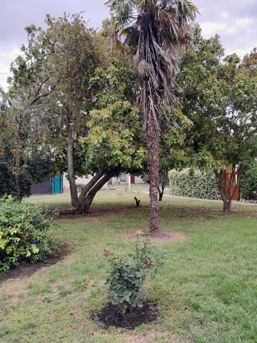Imagen 18 de 18 de Alquiler Temporario En Tandil. Duplex Centrico
