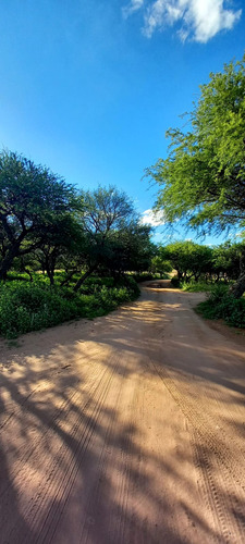 Terrenos En Cabildo-jujuy-catamarca-saavedra, Toay