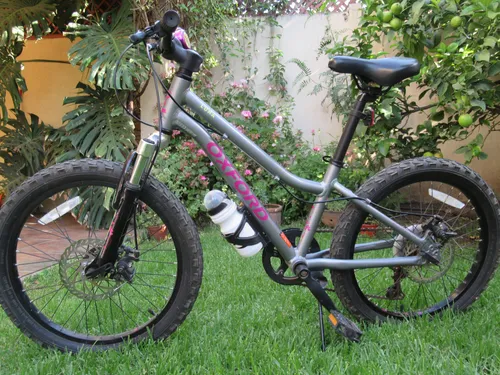 Bicicleta Infantil Niña Oxford Aro 24