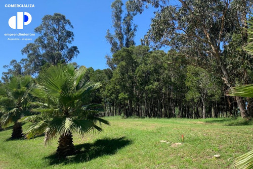 Venta Terreno en Barrio Privado Cumbres de Carrasco