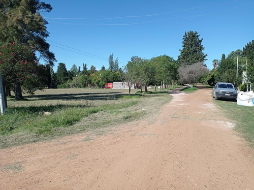 Imagen 3 de 8 de Terreno - Gualeguaychu