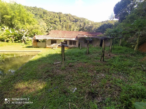 Imagem 2 de 24 de Sítio Com 03 Lagos, Nascentes, Fogão A Lenha, Churrasqueira, Árvores Frutíferas Sendo 70 Pés De Lichia, 150 Pés De Pitaia, No Bairro Faú Em Miracatu, Com 38.000 M² De Área Total Ref: Ch132/ac
