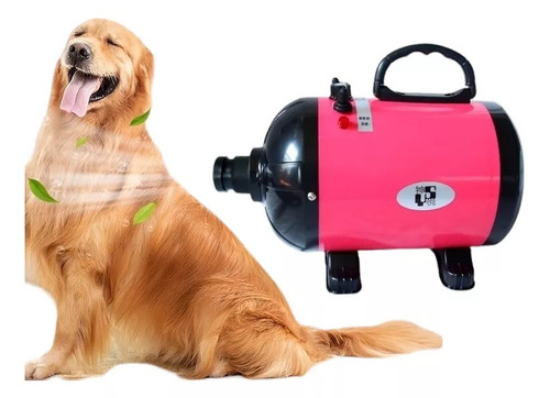 Secador Para Pelos Mascotas Peluquería De Perros Gato 2800w