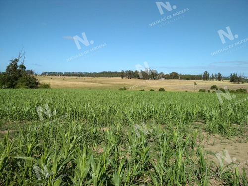 Imagen 11 de 14 de Ruta 104 Zona Ideal Para Vivir Todo El Año - San Carlos Quinta De Medina