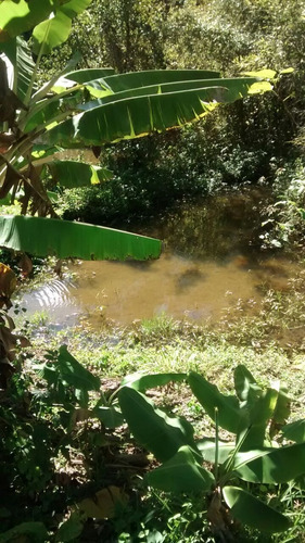 Imagem 22 de 29 de Chácara 4,91 Alqueires, 2 Alqueires Com Eucaliptos Em Ponto De Corte, Casa Sede, 3 Dormitórios, Lagos Com Peixes, Nascente, Próximo A Represa - Ch00106 - 69714090