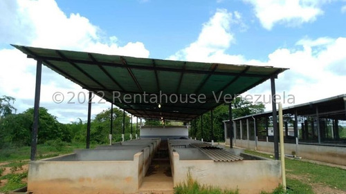 Imagen 8 de 30 de Finca Productora (ganado Levante) En San Carlos 23-416 //invierta Seguro Con Rentahouse//