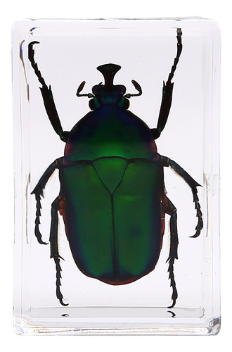Armadura Dorada Con Forma De Orquídea Morada, 4,5 X 3 X 1,8