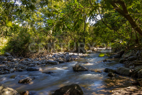 Terreno En Venta En Llanitos, Comala, Colima