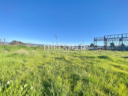 Parcela 5.000 Mt2, Los Laureles. Limache.