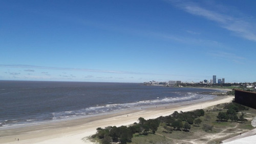 Apartamentos En Venta - Prop. Id: 5299