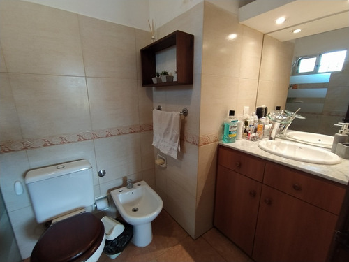 Imagen 9 de 14 de Esplendida Casa En El Pinar A 2 De La Playa, Jardín Y Fondo