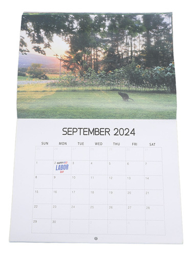 Calendario Para Perros 2024, Decoración, Hermosos Lugares, P