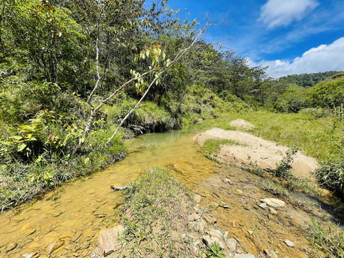 Venta De Lotes En San Roque, Antioquia 