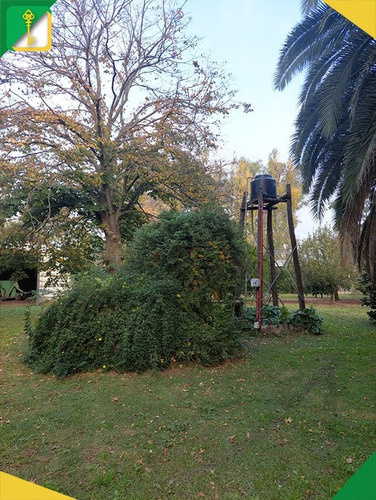 Imagen 10 de 18 de Campo En Venta En Roque Pérez