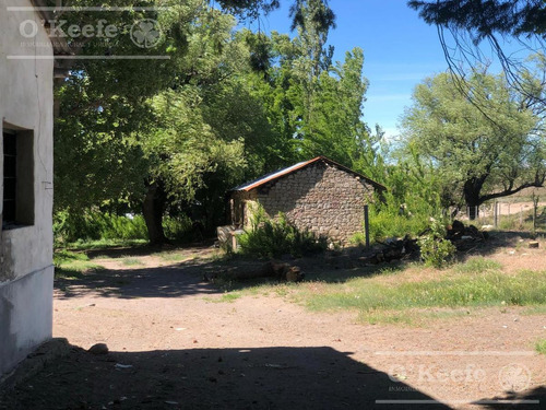 Imagen 13 de 28 de 8.805 Has En Neuquen Venta / Alquiler, Con 18 Km De Costa Del Embalse Piedra Del Águila.