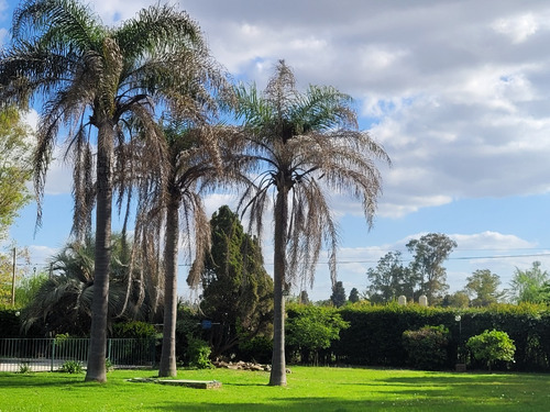 Alquiler Casa Quinta, Tortuguitas. Para Eventos, Cumpleaños Y Casamientos.