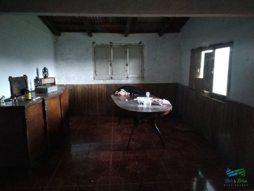 Imagen 2 de 30 de Vendo Excelente Chacra De 39 Hectáreas Para Granja Turística O Tambo, Aigua, Punta Del Este - Aiguá Aiguá