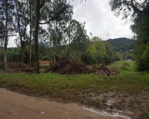 Imagem 5 de 6 de Terreno - T0664 - 32350886