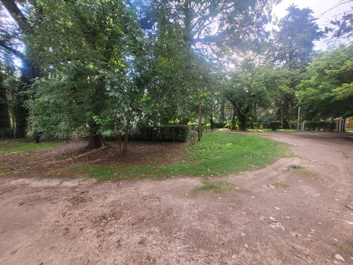 Terreno En Venta En Nono