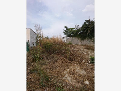Imagen 12 de 12 de Terreno En Venta Amanecer De Sabines
