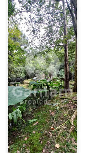 Terreno En Venta En El Texme Con Centro Ecoturistico Operativo
