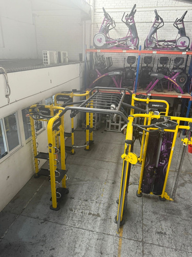 Life Fitness Sinergy 360 Multi Funcional De 8 Estaciones! (Usado)