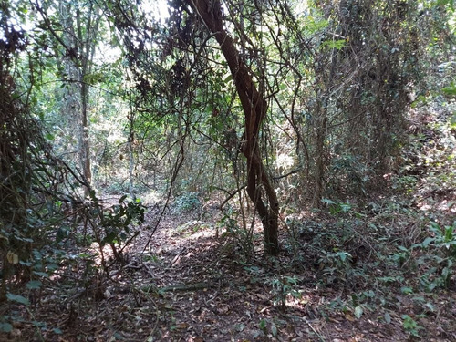 Imagem 19 de 24 de Terreno Em Caxito, Maricá/rj De 1060m² À Venda Por R$ 150.000,00 - Te2148374-s
