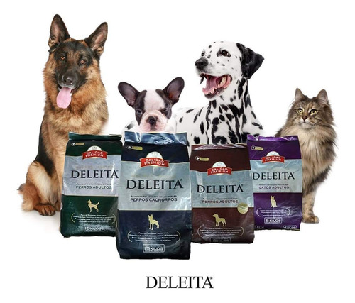 Alimento Balanceado Perro Mordida Pequeña Deleita P X 10 Kg