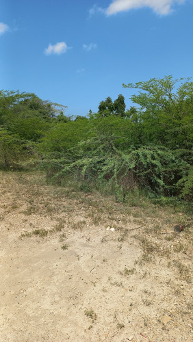 Esta Es Tu Oportunidad De Invertir En Un Terreno Ideal