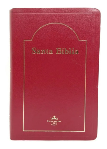 Biblia Reina Valera 1960 Con Concordancia Bordo Canto Dorado