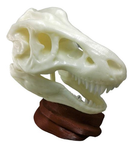 Esqueleto De Tiranossauro Rex Feito Com Impressão 3d