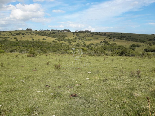 Imagen 12 de 14 de Campo Cerca De Pueblo Eden - Consulte !!!!!!! - Pueblo Eden