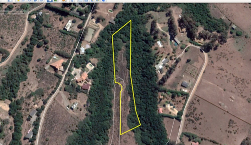 Parcela N° 119 De 7.768 M2 Ubicada En Condominio Campomar 1,