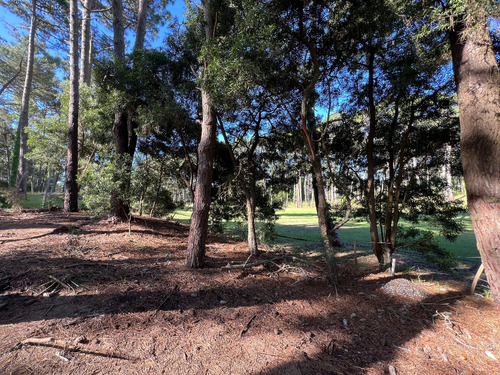 Lote Residencial Con Salida Al Golf En Carilo