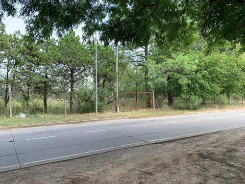 Imperdible Terreno Sobre Panamericana A La Venta O Alquiler En Campana, G.b.a. Zona Norte, Argenti