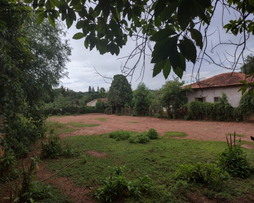 Imagem 4 de 6 de Terreno - Te00511 - 69319264