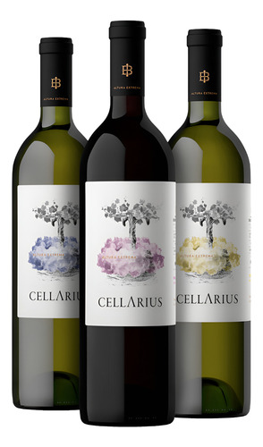 Vino Malbec Cellarius