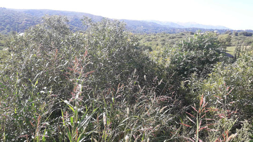 Imagen 5 de 12 de La Cumbre Lote En Loma De San Luis Fe 1700 M2