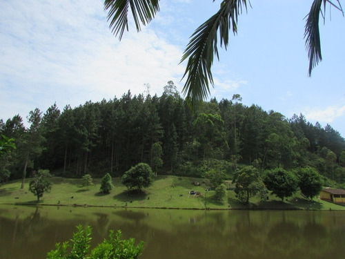 Imagem 18 de 30 de Juquitiba/lindo Sitio/pronto Para Usufruir - 04620 - 33418566