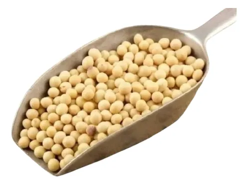 Soya En Grano 1000g - Kg a $9280