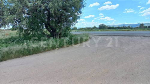 Terreno Rustico En Venta En Rincon De Romos
